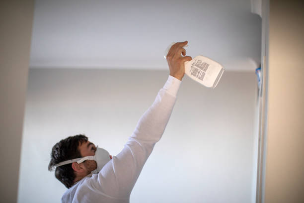 Best Black Mold Removal  in Amador Pines, CA