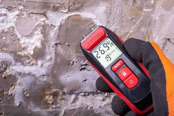 Best Certified Mold Removal  in Amador Pines, CA