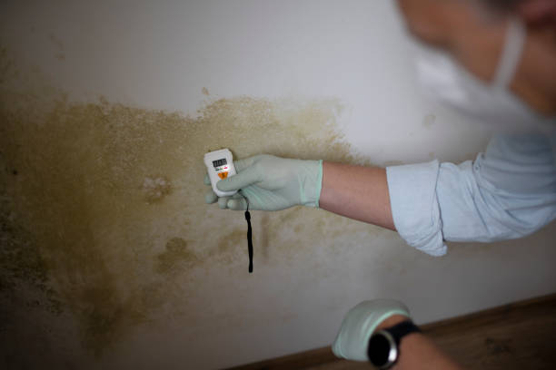 Best Crawl Space Mold Removal  in Amador Pines, CA